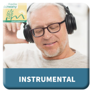 Schwany Instrumental Radio